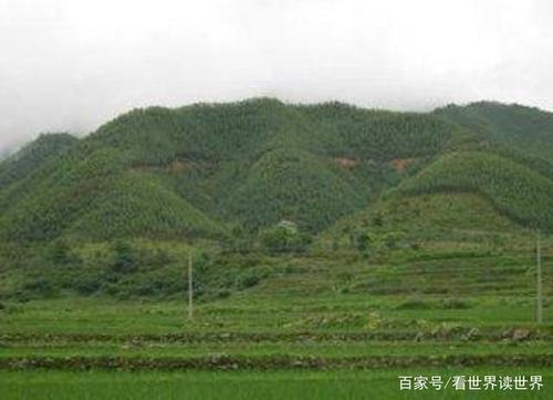 风水宝地是什么意思（梦见好的风水宝地是什么意思）