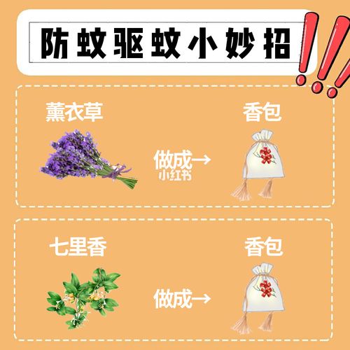 怎么驱蚊（怎么驱蚊子最有效的方法）