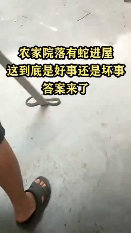 蛇进家（蛇进家是好事还是坏事）