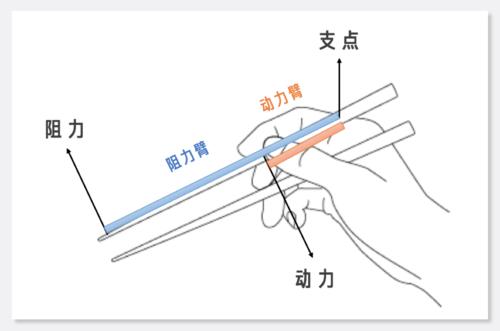 筷子是什么杠杆（筷子是什么杠杆图解）