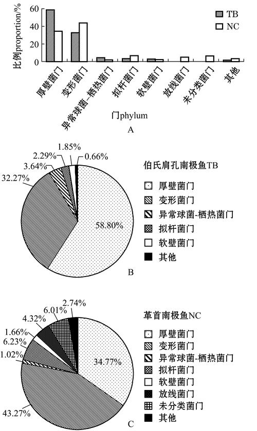 密集度（菌群密集度）