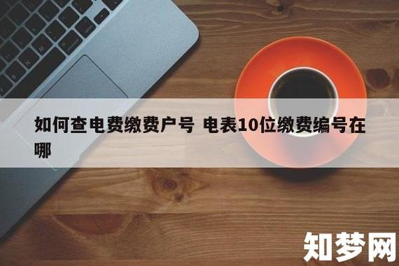 电费户号怎么查询（网上交电费户号怎么查询）