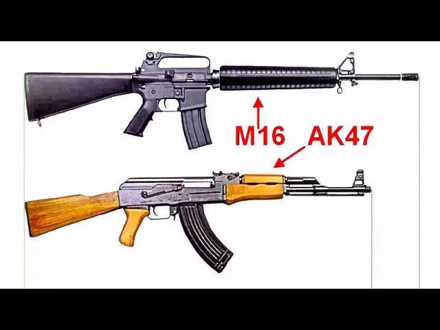 m16（m16是什么组织）