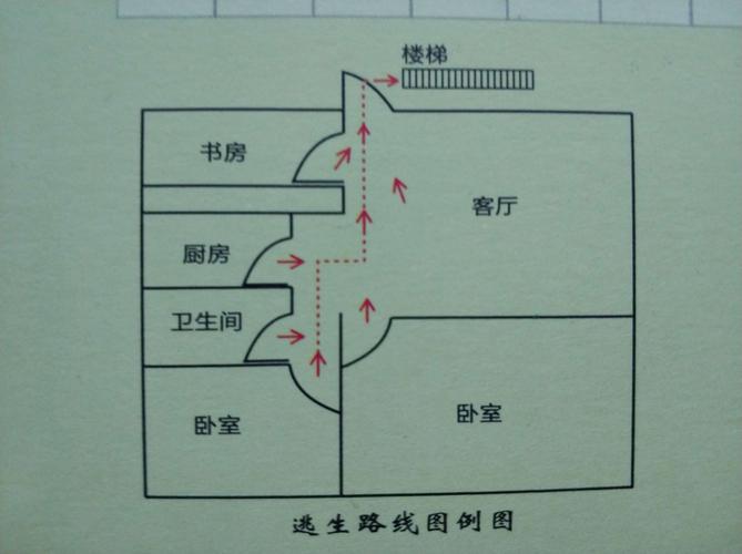 家庭平面图怎么画（家庭平面图简笔画彩色）