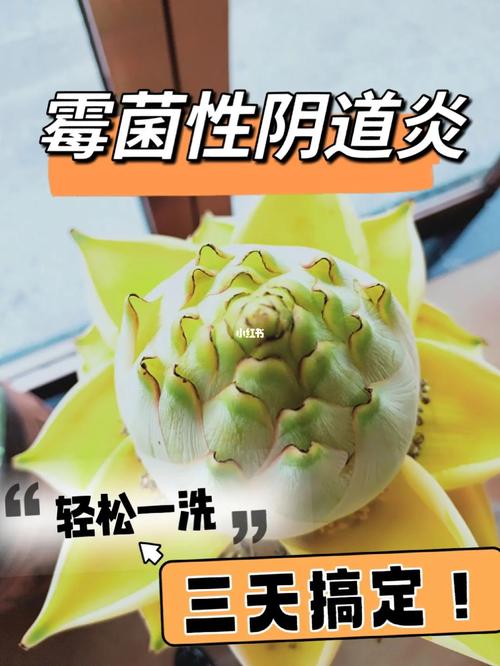 怎样才能洗除霉菌（怎样才能洗除霉菌性阴炎）