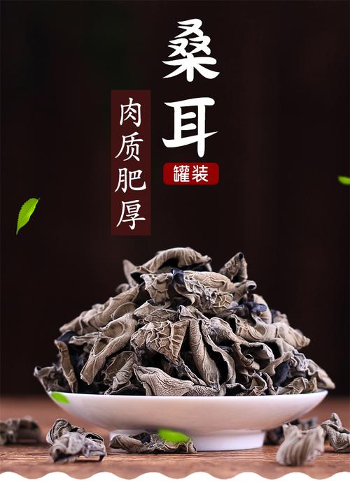 桑耳（桑耳子的图片）