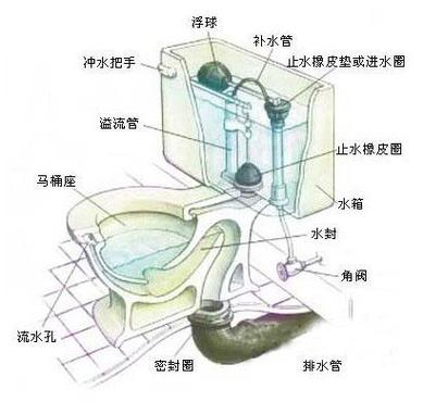 马桶内部结构图（抽水马桶内部结构图）