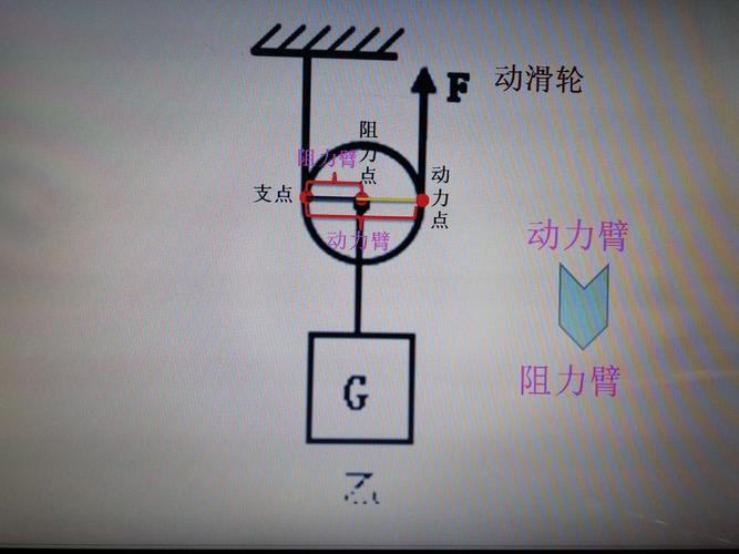 动滑轮的特点（动滑轮的特点加速度）