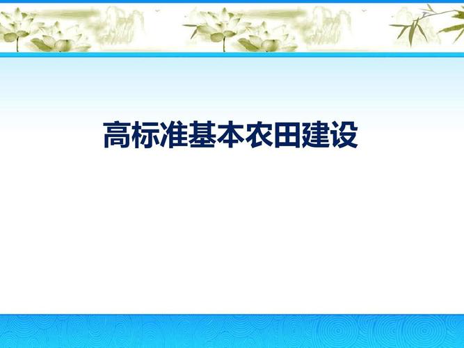 高标准基本农田（高标准基本农田建设标准最新）