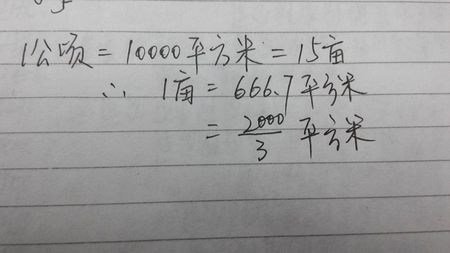 一亩等于多少平方米（一亩等于多少平方米有多大面积）