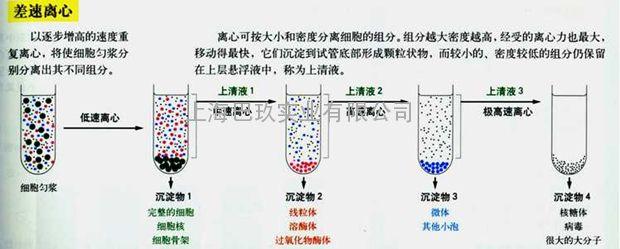 什么叫密度（什么叫密度梯度离心,优点是什么）