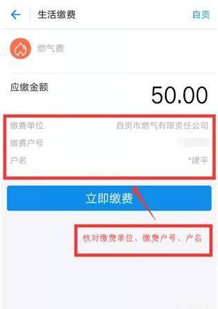 煤气费（煤气费怎么查询明细）