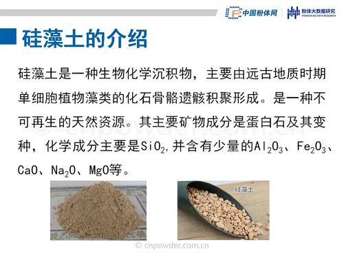 硅藻土的作用（硅藻土的作用化学上）