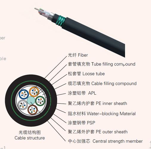 光缆型号（光缆型号GYTA和GYTS）