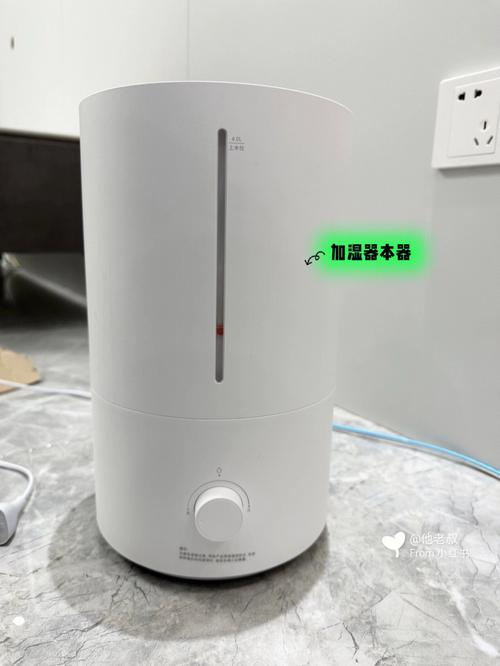 加湿器有什么用（小米加湿器有什么用）