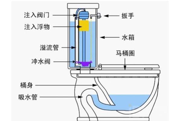 蹲式马桶结构图（马桶堵了怎样疏通最快）