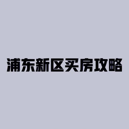 上海浦东买房（上海浦东买房攻略）