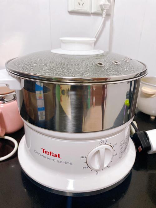 tefal（tefal蒸锅）