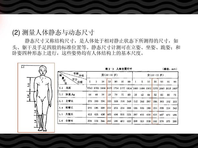 clrtc（测量人体尺寸视频教程）