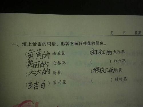 什么的梳头（什么的梳头填空词语三年级）