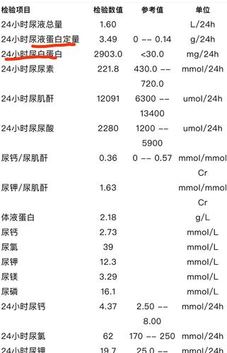 排出量（正常人24h蛋白排出量）