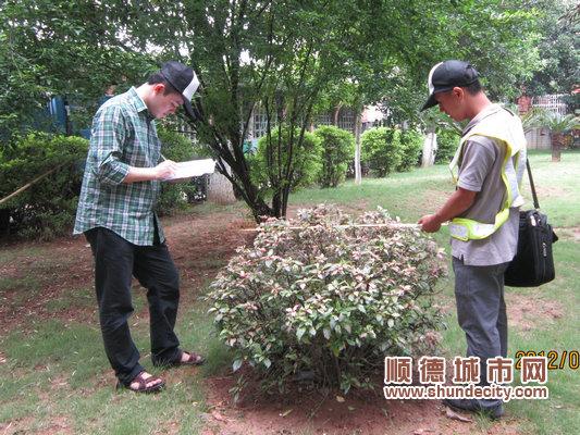 冠幅怎么测量（树的冠幅怎么测量）