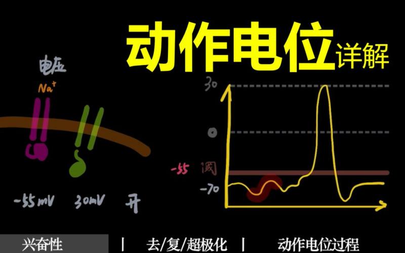 电位是什么（电位是什么量）