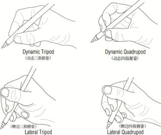 拿笔的正确姿势（拿笔的正确姿势 握笔）