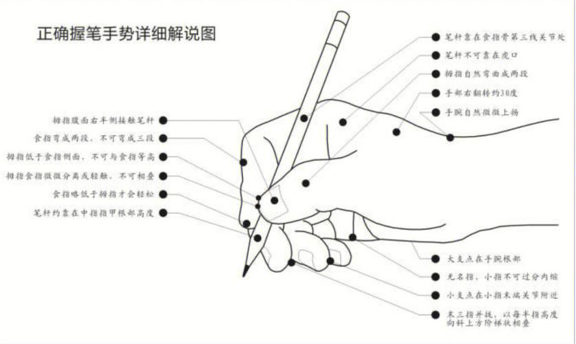 拿笔的正确姿势（拿笔的正确姿势 握笔）