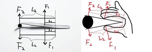 镊子是什么杠杆（镊子是什么杠杆示意图）