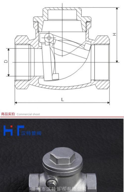 旋启式止回阀（旋启式止回阀工作原理）