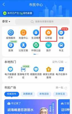 泰安公积金（泰安公积金查询个人账户余额查询）