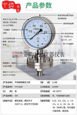 膜盒压力表（膜盒压力表是什么意思）