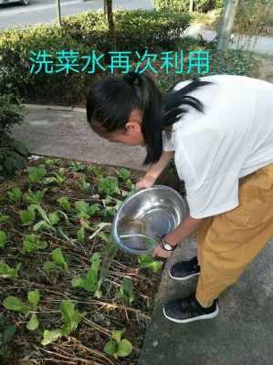 空调水可以浇菜吗（空调水可以浇菜吗怎么浇）