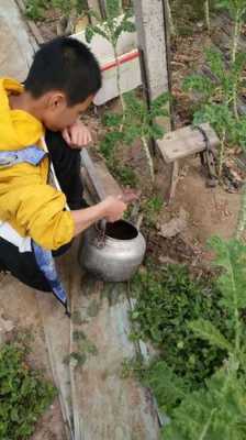 空调水可以浇菜吗（空调水可以浇菜吗怎么浇）