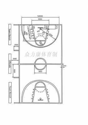 篮球场地标准尺寸（篮球场地标准尺寸大小是多少）