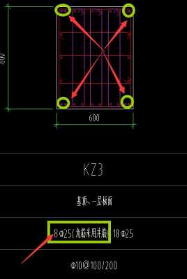 角筋（角筋图片）