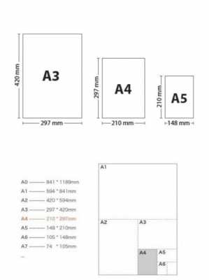 a4（a4的一半大小是什么尺寸）