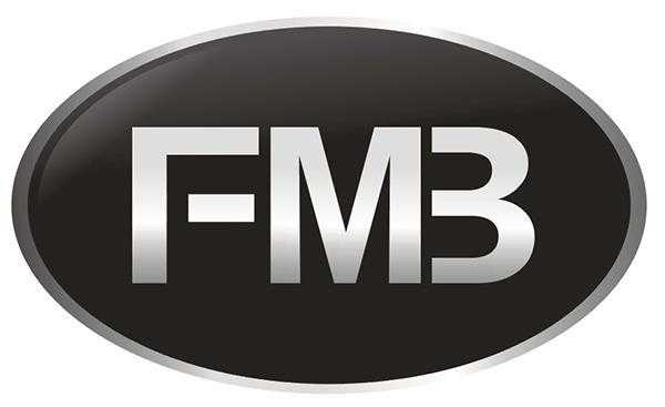 fmb（fmb什么意思）