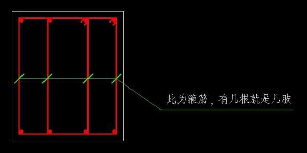 箍筋肢数（箍筋肢数怎么确定）