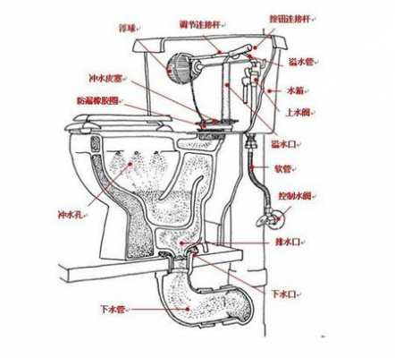 抽水马桶结构图（抽水马桶结构图解大全）