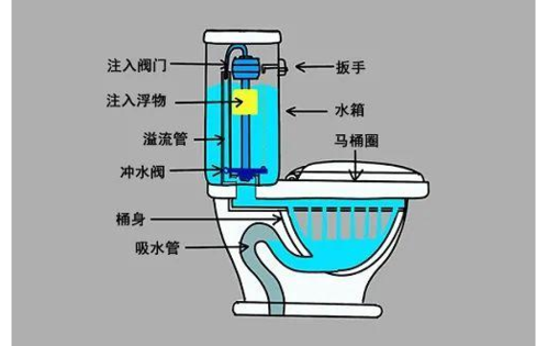 抽水马桶结构图（抽水马桶结构图解大全）