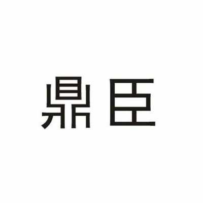 鼎臣（鼎臣科技有限公司）