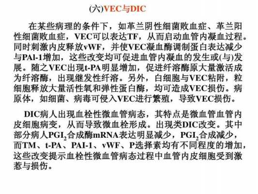 yv是什么意思（hsyv是什么意思）