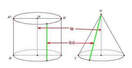 母线是什么（母线是什么圆锥的母线是什么）