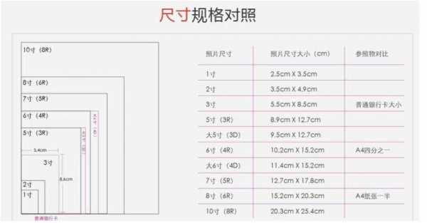 10英寸多大（10英寸多大参照物）