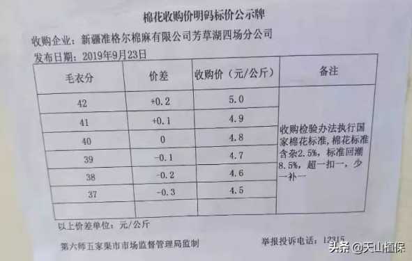 新疆棉花价格（新疆棉花价格2023多少钱一斤）