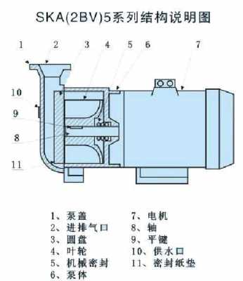 水环（水环式真空泵的工作原理）