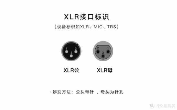 xlr接口（xlr接口是干嘛的）