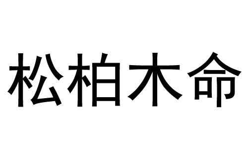 松柏木（松柏木命男孩一生运势）